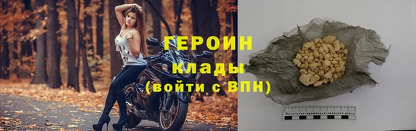прущие грибы Каменногорск