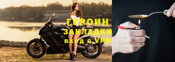 прущие грибы Каменногорск