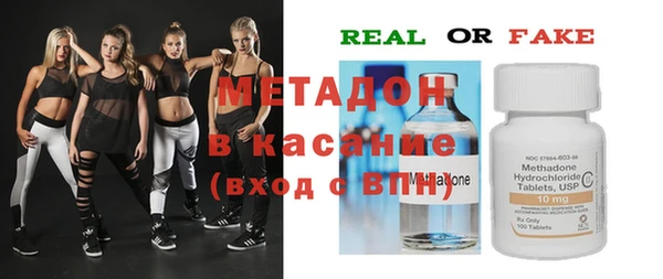 прущие грибы Каменногорск