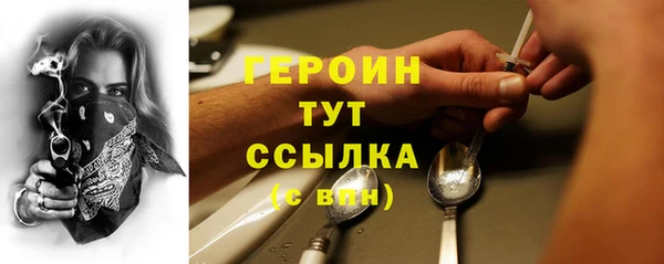 прущие грибы Каменногорск