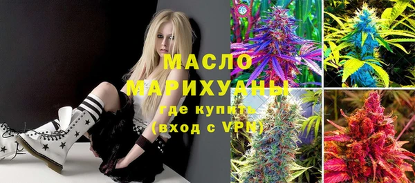 прущие грибы Каменногорск