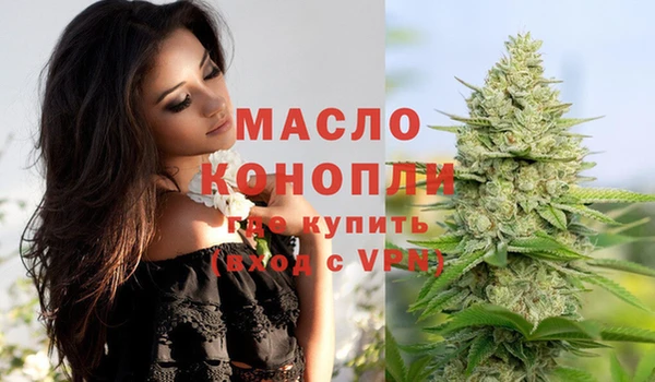 прущие грибы Каменногорск
