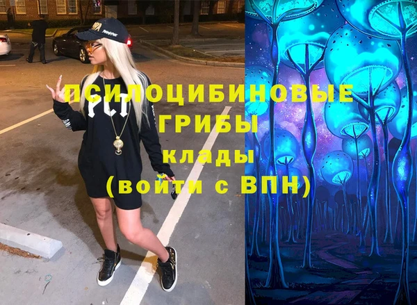 героин Каменка