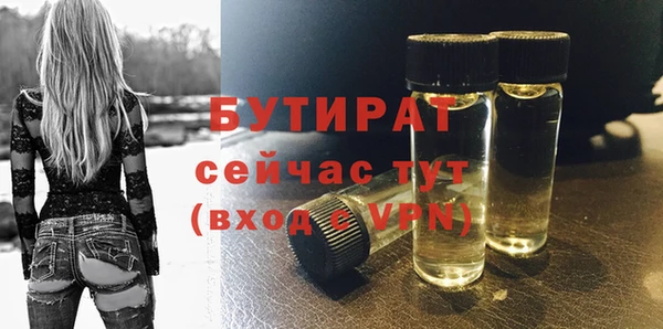 прущие грибы Каменногорск