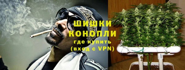 прущие грибы Каменногорск
