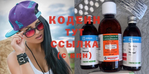 прущие грибы Каменногорск