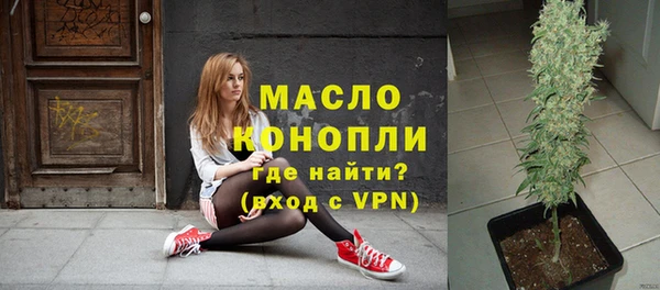 прущие грибы Каменногорск