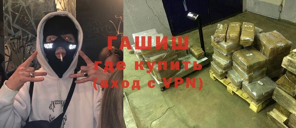 прущие грибы Каменногорск