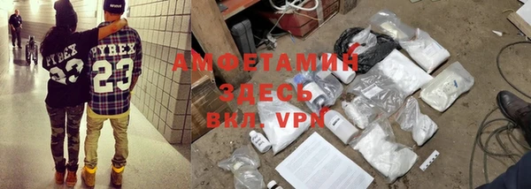 прущие грибы Каменногорск