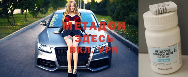 прущие грибы Каменногорск