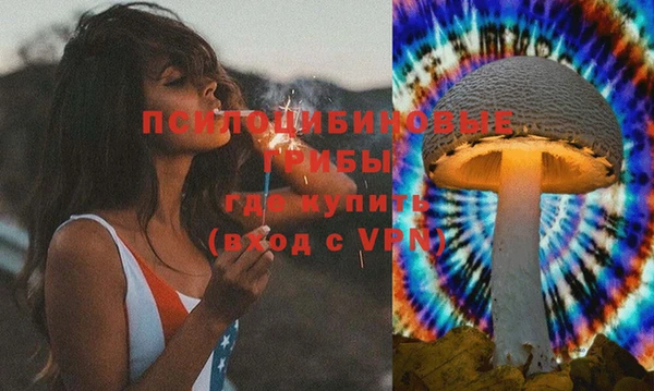 прущие грибы Каменногорск
