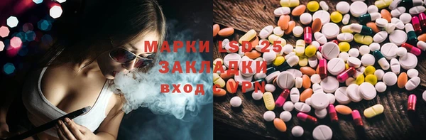 прущие грибы Каменногорск