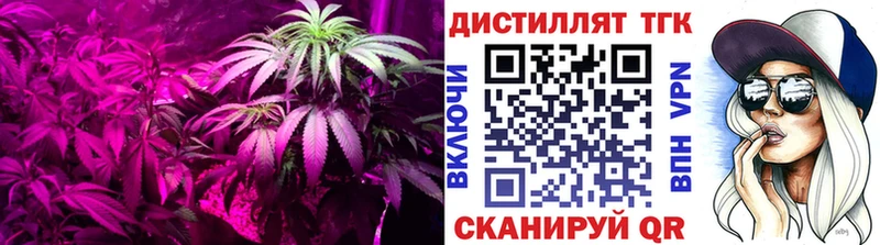 Купить  Туран  ТГК вейп 