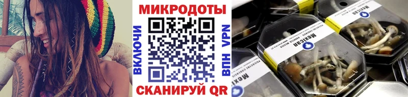 Псилоцибиновые грибы мицелий  Купить закладки  Туран 